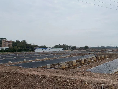 鹽城徐總拿下新棚，購買40臺恩拓博高速增氧機(jī)